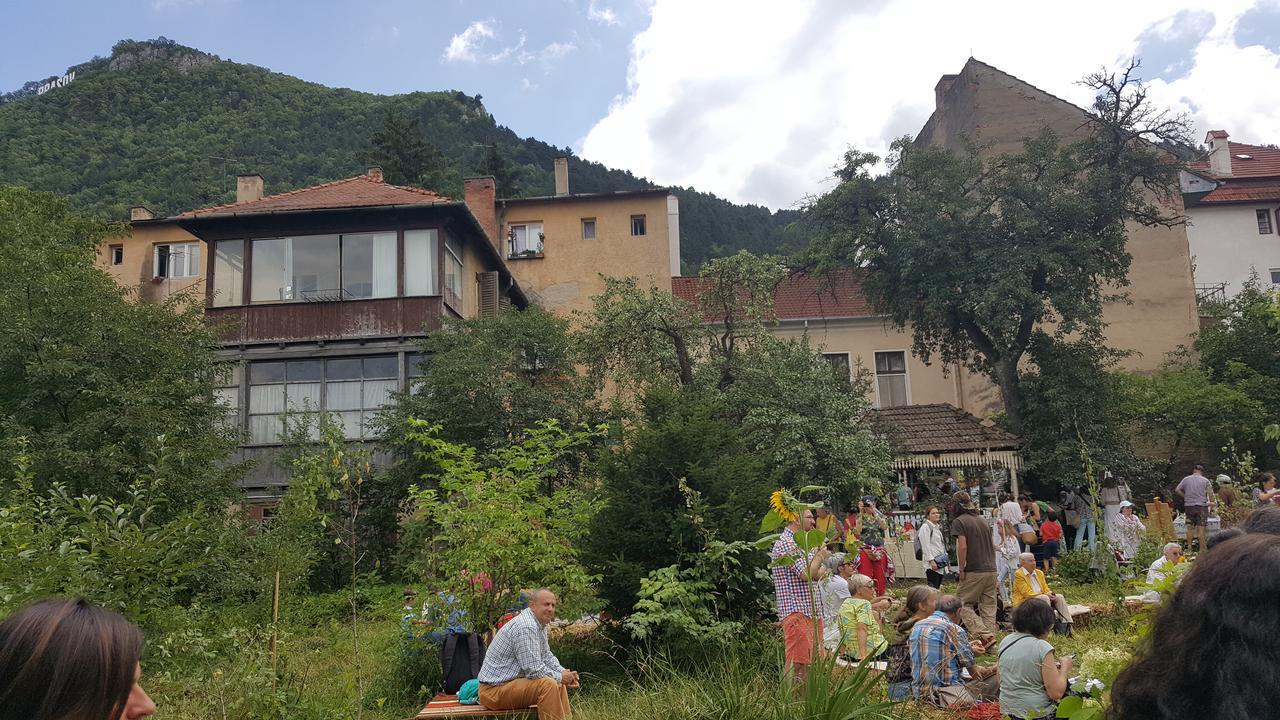 Mountain Tale Vandrehjem Braşov Eksteriør billede
