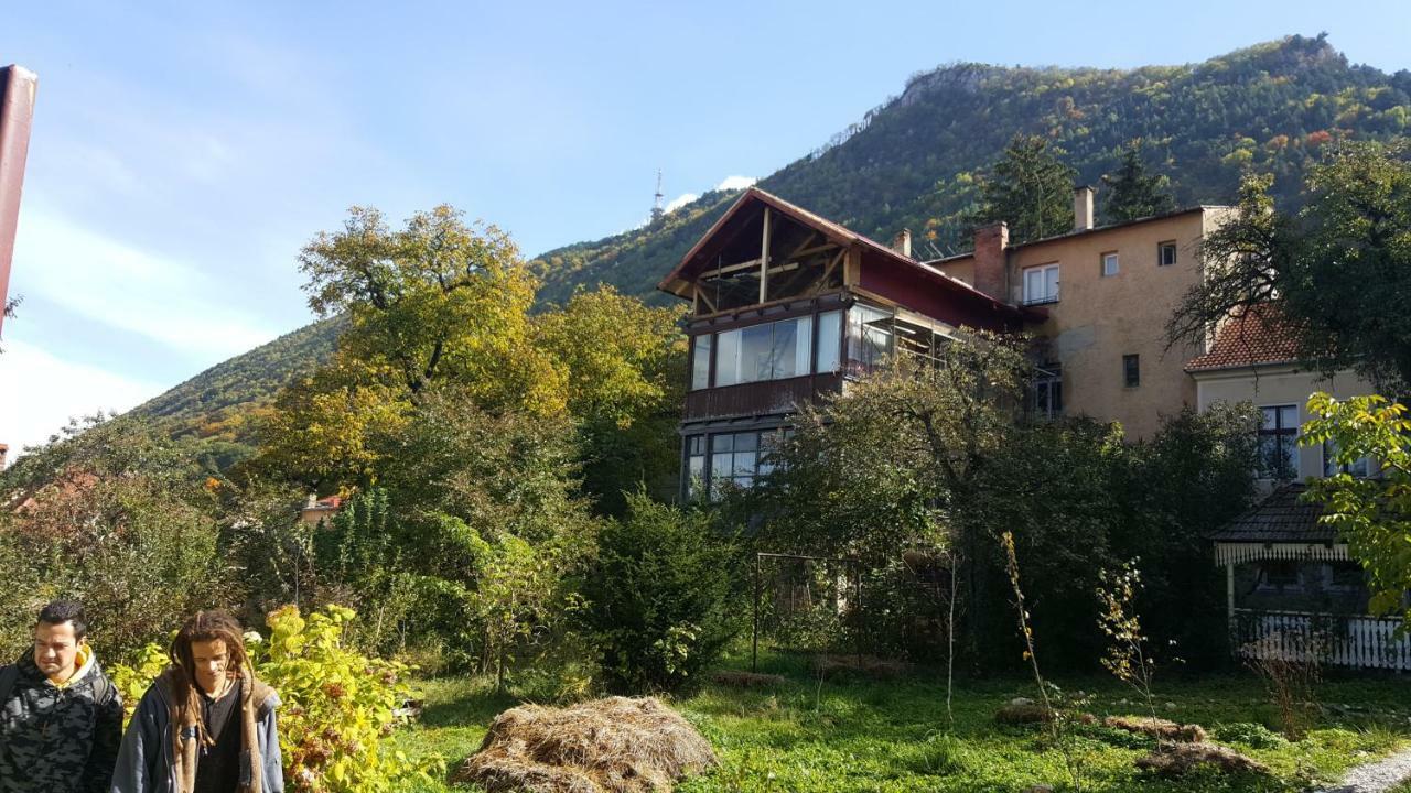 Mountain Tale Vandrehjem Braşov Eksteriør billede